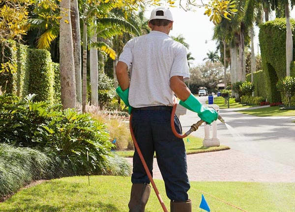 About Bensalem PA Pest Control Pros